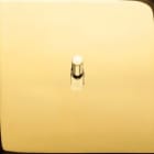 Legrand - Va-et-Vient ou interrupteur 10A - Epure Or Miroir Art d'Arnould