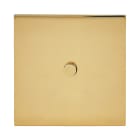 Legrand - Art d'Arnould univers Epure poussoir à bouton rond 2A - or miroir