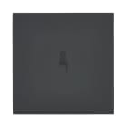 Legrand - Art d'Arnould univers Epure poussoir lumineux - noir mat