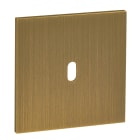 Legrand - Art d'Arnould univers Epure plaque de finition 1 levier - Bronze