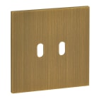 Legrand - Art d'Arnould univers Epure plaque de finition 2 leviers - Bronze