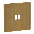 Legrand - Plaque 1 Poste pour USB - Epure Bronze Art d'Arnould d arnould