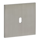 Legrand - Plaque 1 Poste pour mécanisme 1 levier - Epure Acier Brossé Art d'Arnould