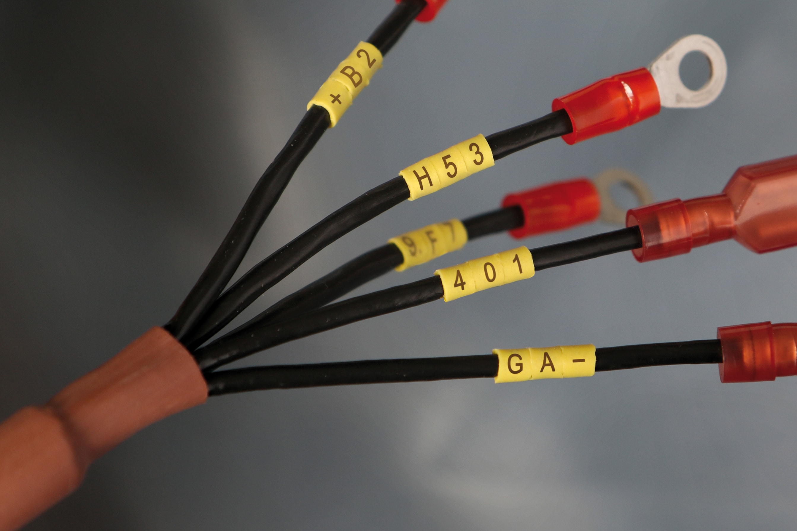 SES Sterling - Bague SILAVIA LASER-ONE SILAVIA LASER-ONE 1 Y