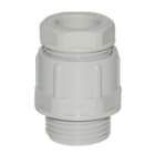 SES Sterling - Presse-étoupe Plio PEC PG 36