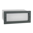 Norlys - GRIMSTAD graphite sans grille 5,3W LED dim. flux 214lm 3000K IP65 cl I IK08