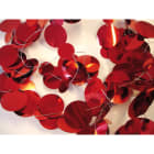 Chromex - Décoration Paillettes RG L:20m INT/EXT