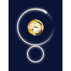 Chromex - Décor 2DS Dentelle BF L:0,65 H:1m