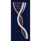 Chromex - Décor 2DTC Elfie BF L:1m H:2,5m