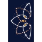 Chromex - Décor 2DTC Rosace OR L:2m H:1,1m