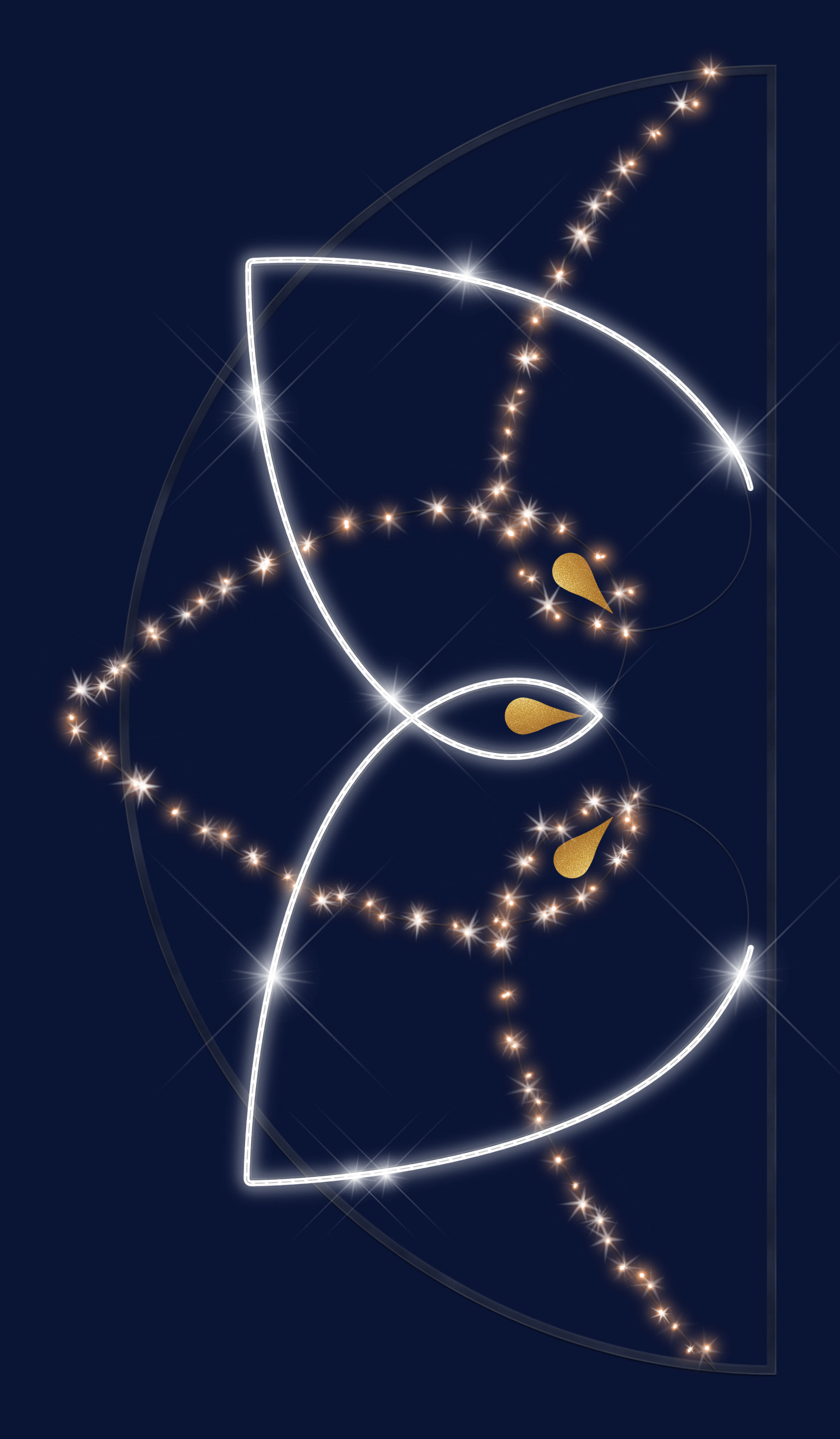 Chromex - Décor 2DTC Rosace OR L:3m H:1,65m