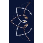 Chromex - Décor 2DTC Rosace OR L:3m H:1,65m