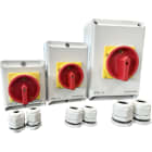 Eid - Coffret de protection IP65 4P 63A avec presse-étoupes M32 taille grande