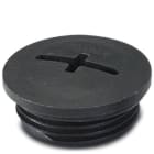 Phoenix Contact - Vis de fermeture A-INSP-M25-65N-P-BK