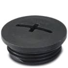 Phoenix Contact - Vis de fermeture A-INSP-PG29-65N-P-BK