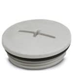 Phoenix Contact - Vis de fermeture A-INSP-M40-68N-P-LG