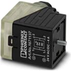 Phoenix Contact - Connecteur d'electrovanne, Type A, 3 pôles, à visser, 24V, presse-étoupe Pg9