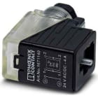 Phoenix Contact - Connecteur d'electrovanne, Type BI, 3 pôles, à visser, 24V, presse-étoupe Pg9