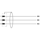 Phoenix Contact - Cable pour capteurs-actionneurs
