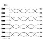 Phoenix Contact - Câble FERRO, 8 pôles, Ethernet CAT6, M12 mâle droit, Ext. Libre, X, 2 m