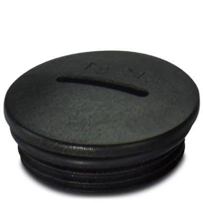 Phoenix Contact - Vis de fermeture A-INSP-PG21-65N-P-BK