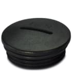 Phoenix Contact - Vis de fermeture A-INSP-PG21-65N-P-BK