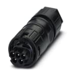 Phoenix Contact - PRC 5-FC-MS6 8-21 - Connecteur - PRC 5-FC-MS6 8-21