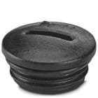 Phoenix Contact - Vis de fermeture A-INSP-PG11-65N-P-BK