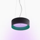 Artemide - TAGORA 570 Pure Integralis - Suspension Direct-Indirect - Black-Green - Artemide