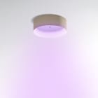 Artemide - TAGORA 570 Pure Integralis - Ceiling - Beige-White - Artemide APP