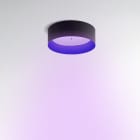 Artemide - TAGORA 570 Pure Integralis - Ceiling - Black-Blue - Artemide APP