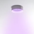 Artemide - TAGORA 570 Pure Integralis - Ceiling - Grey-White - Artemide APP