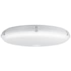 3FFilippi - 3F Petra OP 620 50W LED