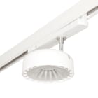 3FFilippi - 3F Emilio TK LED 2500-CRISP ELL