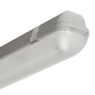 3FFilippi - 3F Linda Inox 1x58 HF EP