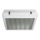 3FFilippi - 3F CUB LED 150W CR VS