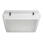 3FFilippi - 3F CUB LED 100W CR SP
