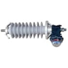 Dervaux Distribution - EZED24 parafoudre 24 Kv à enveloppe synthétique - Codet 7310810