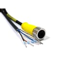 Acksys - Cable alimentation Ultra Lock M12 5 brins 10m