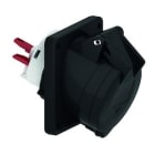 Bals - Socle de Prise tableau incliné 230V 2P+T 6h 32A IP44