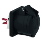 Bals - Socle de prise noir Quick-Connect tableau droit 230V 2P+T 6h 32A IP44
