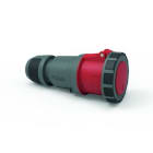 Bals - Prolongateur TE avec presse-étoupe 400V 3P+T 6h 125A IP67