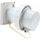 Bals - Socle de connecteur tableau 400V 3P+T 3h 32A IP67 pour conteneur frigorifique