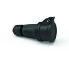 Bals - Prolongateur domestique avec presse-étoupe 250V 2P+T 10/16A IP54 NOIR