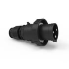 Bals - Fiche noire avec presse-étoupe 230V 2P+T 6h 63A IP67