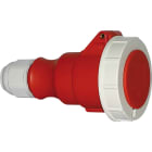 Bals - Prolongateur avec presse-étoupe 400V 3P+T 3h 32A IP67 pour cont. frigorifique