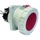 Bals - Socle de prise tableau TE incliné 400V 3P+N+T 6h 125A IP67, contact pilote.