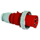 Bals - Fiche avec presse-étoupe 400V 3P+N+T 6h 63A IP67