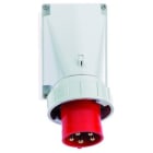 Bals - Socle de connecteur saillie 400V 3P+N+T 6h 63A IP67, gamme TE