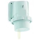 Bals - Socle de connecteur mural saillie 400V 3P+N+T 6h 16A IP67, gamme TE